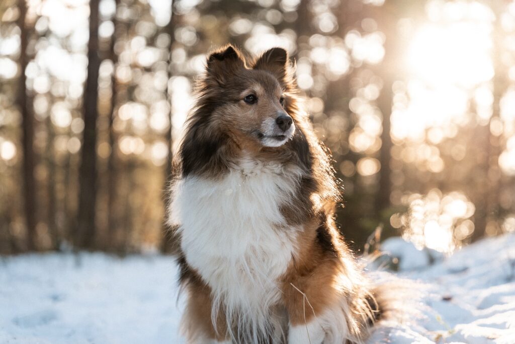 Instagram post from trfotografi. This post is in position 4.